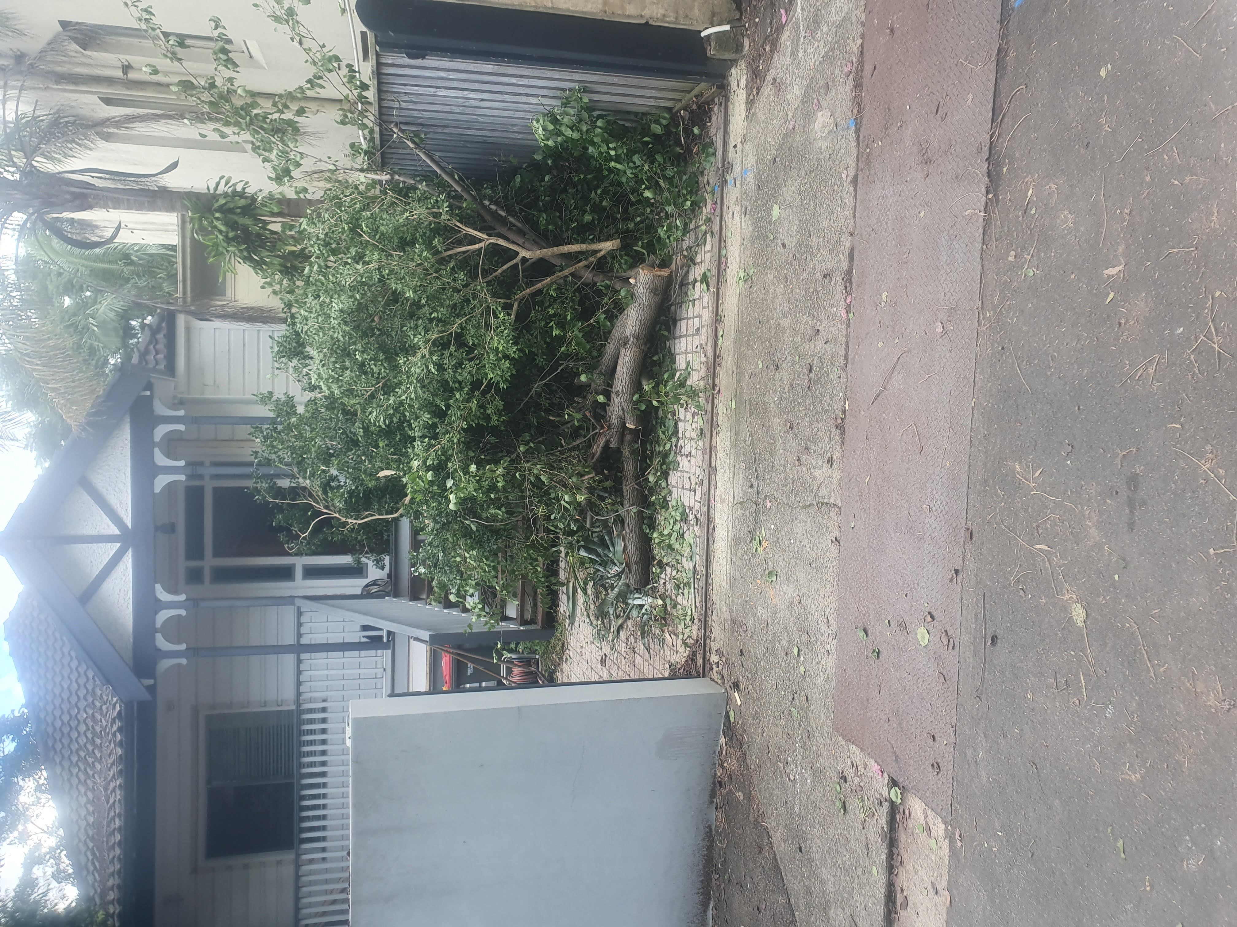 Balmain image 1